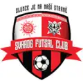Svarog FC Teplice