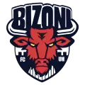 FC Bizoni Uherské Hradiště