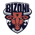 FC Bizoni Uherské Hradiště